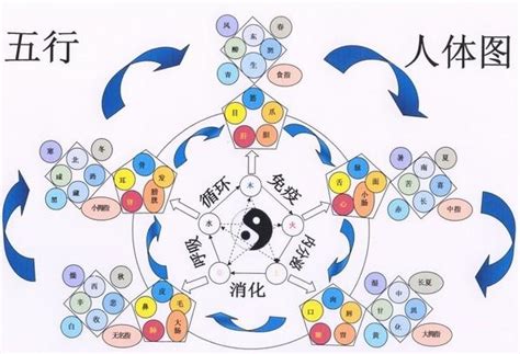 数字的五行|易经学基础理论：数字的五行属性及其应用